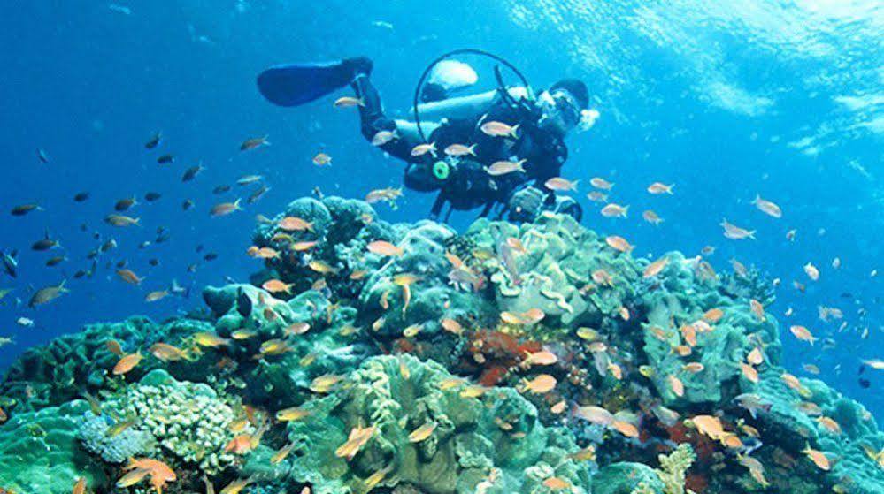Bajo Komodo Eco Lodge Labuan Bajo Buitenkant foto